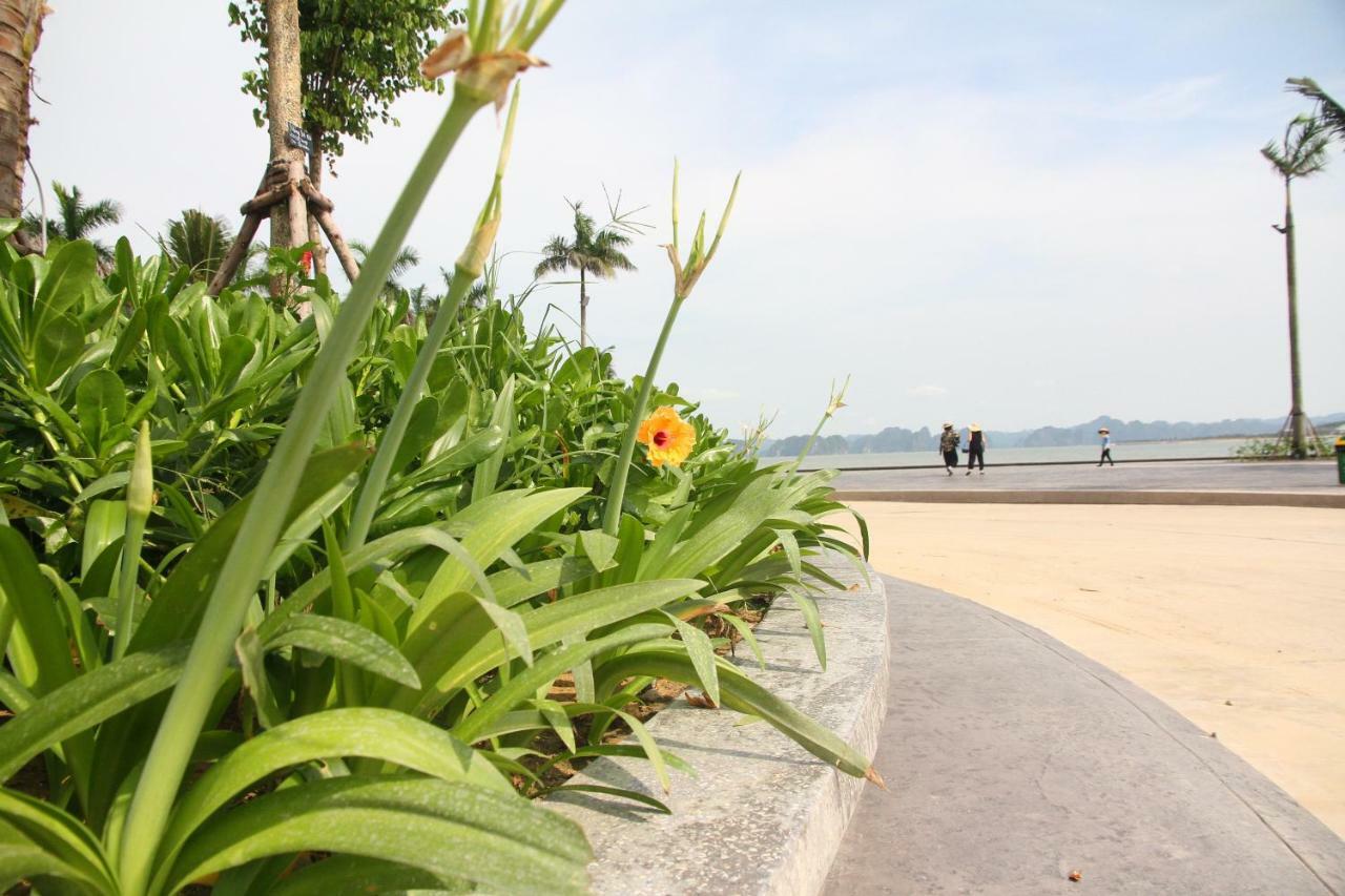 Kp Relax Halong Homestay Nan Giang エクステリア 写真